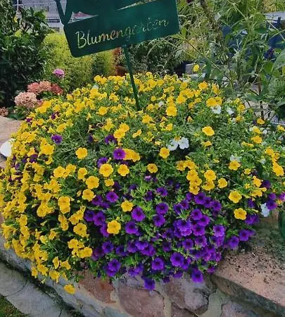 Otschik Apartment Glan-Munchweiler