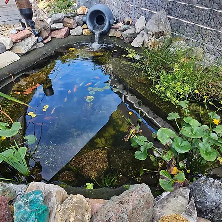 Otschik * Glan-Munchweiler