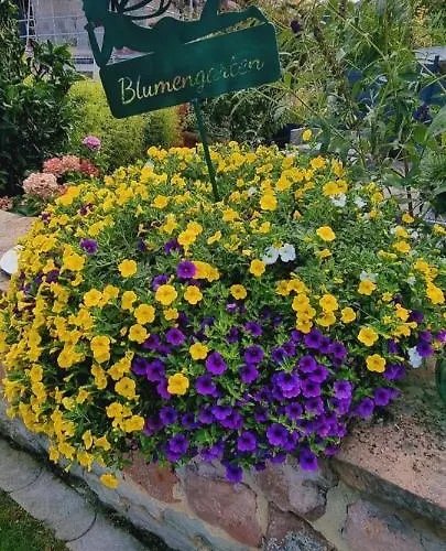 Otschik Appartement Glan-Munchweiler